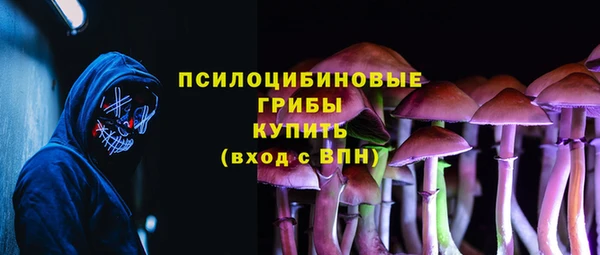 мдпв Лабытнанги