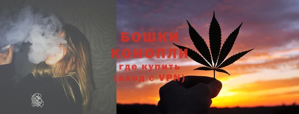 spice Лиски