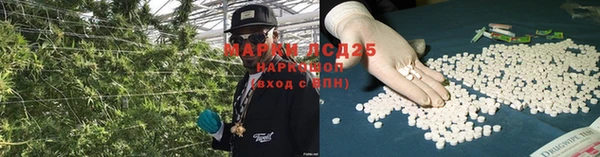 скорость Липки